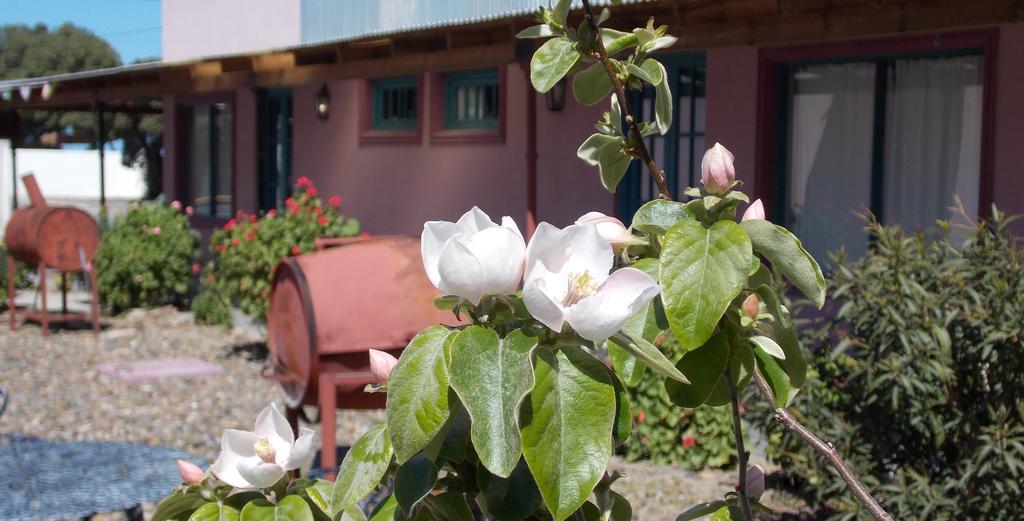 Posada Caracoles Puerto Pirámides Habitación foto