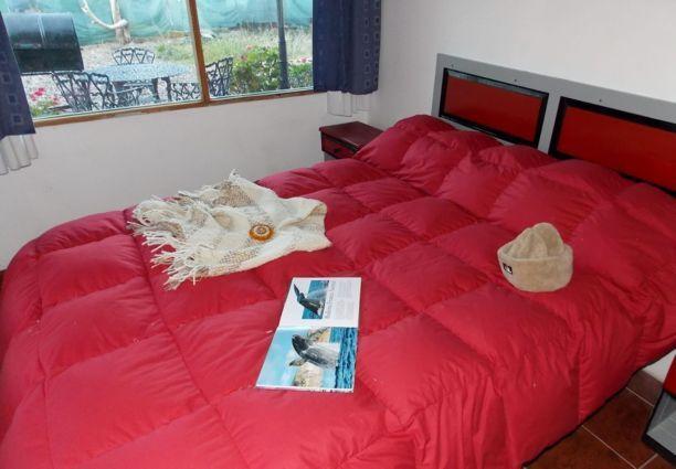 Posada Caracoles Puerto Pirámides Habitación foto